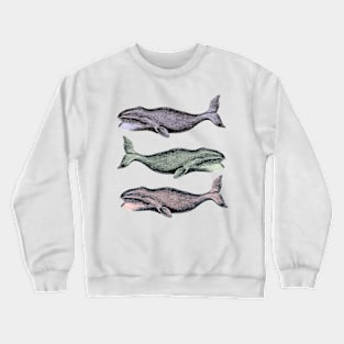 Vintage Illustrations Whale Tee Crewneck Sweatshirt